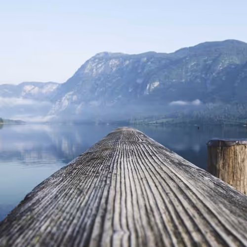 Fri Independent Peers