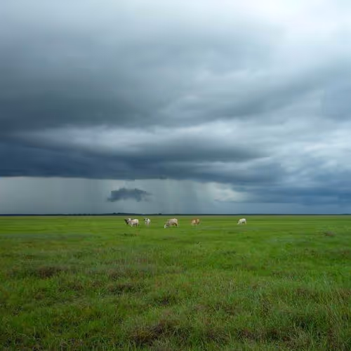 Emotional Instructions Perth