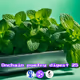 The Onchain Poetry Digest 25