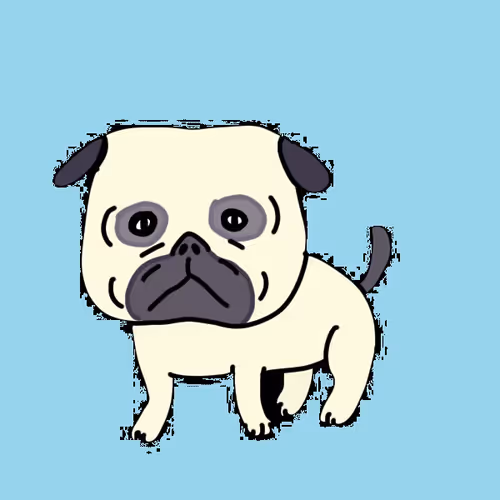 pug