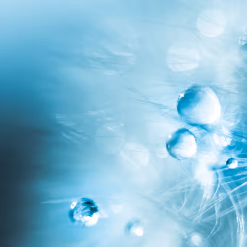 Drops