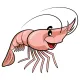 prawn