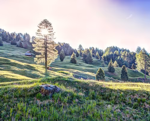 0xe956d4e7a526c53626d6a8788644a70e2eeec92f