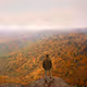 Fall
