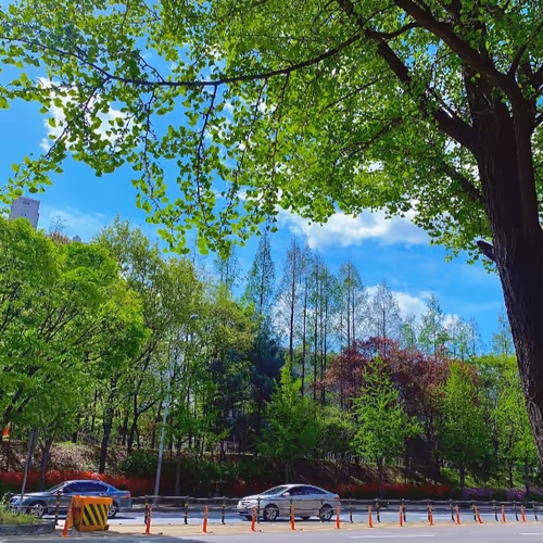 도시풍경