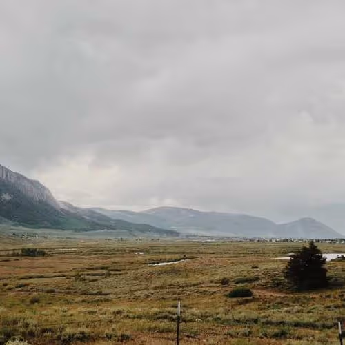 Addressed Daily Operations