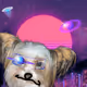 Crypto the Space Pup Blasting Off!
