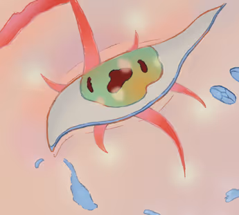 Zora Posts