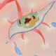Zora Posts
