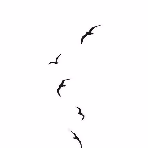 The Birds