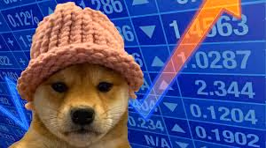 Dog Wif Hat