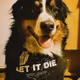 Bernese Mountain Dog