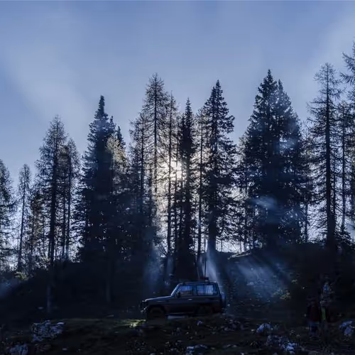 Bidding Blocked After