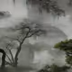 trees