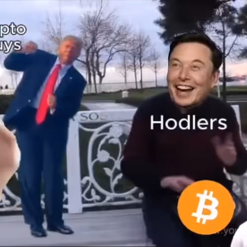 TRUMP BULLRUN