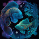 sign of the zodiac