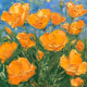 California Poppies