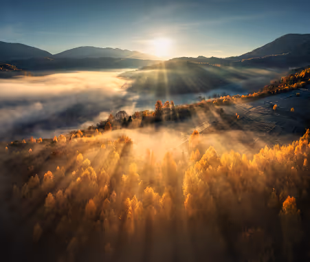 Sunlit Canyon Chronicles