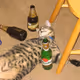 beer cat