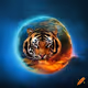 Tiger zorb