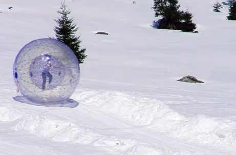 zorb
