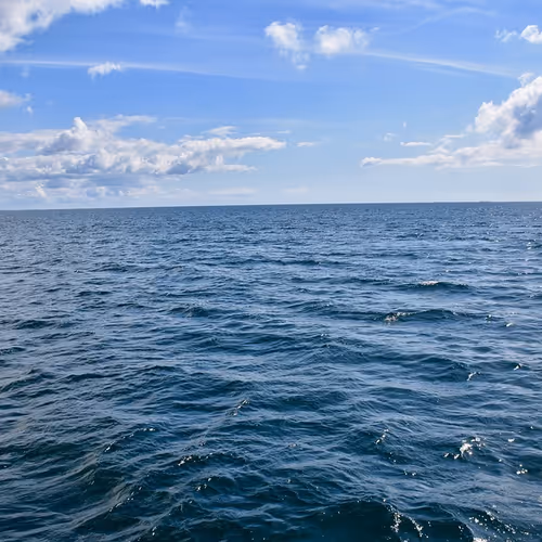 meer