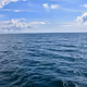 meer