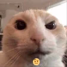 gfefdsf