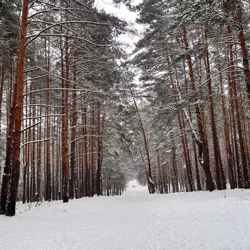 winter