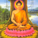 The Buddha