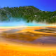 Yellowstone Nature Reserve