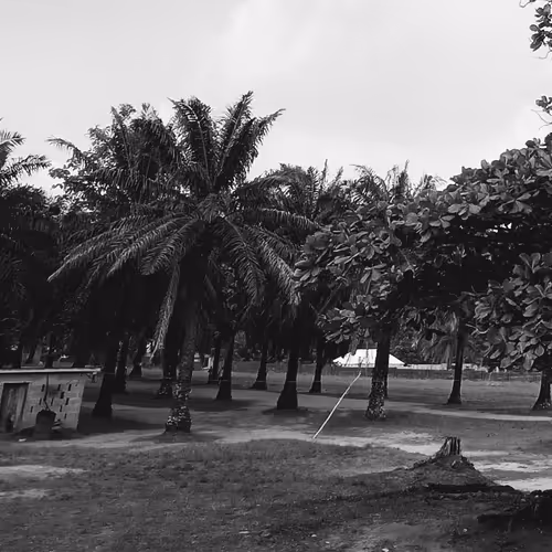 nature