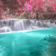 Nature 3