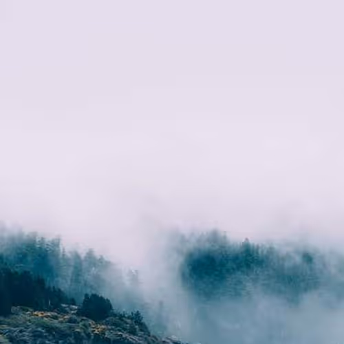 Everything Destruction Algorithm