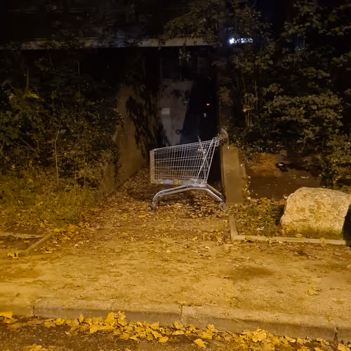 ✧˖°. I captured this .°˖✧