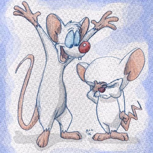 Pinky and the Brain
