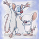 Pinky and the Brain