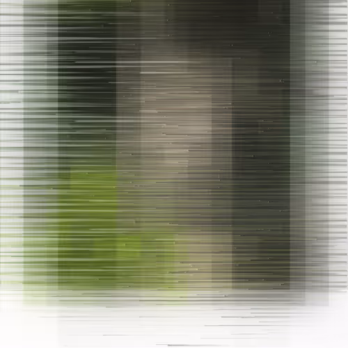 canopy