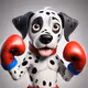 Dalmatian boxer