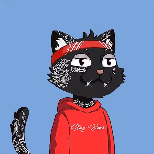 hello cat