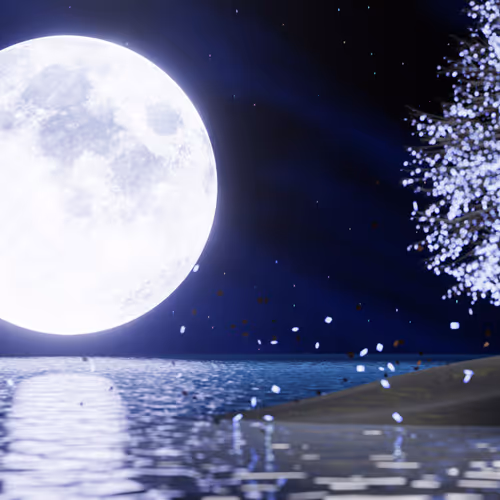 Christmas Moon collection