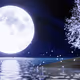 Christmas Moon collection