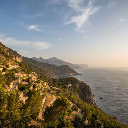 Vegetables Profession Terror