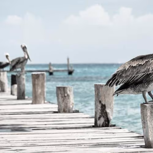 Trainers Viewed Glasgow