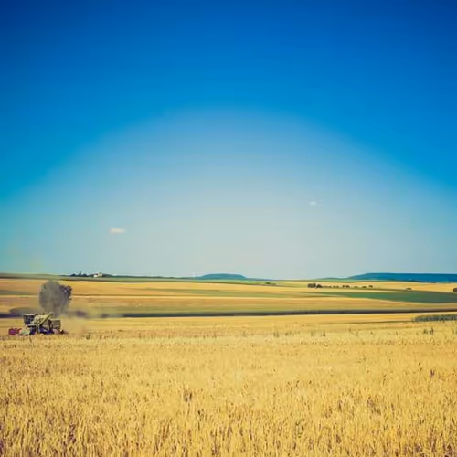 Litigation Two Raleigh