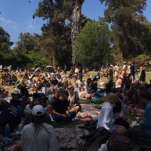 listen to music outside in the daylight under a tree
