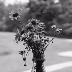 black/white