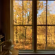 Autumn vibe