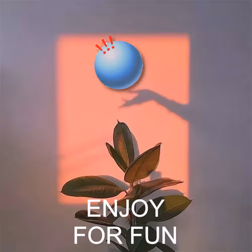 ENJOY FOR FUN