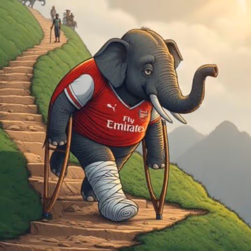 Fallen Elephant